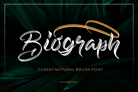 Biograph: A Casual Script Font for Authentic Branding
