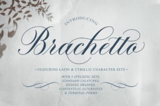 Brachetto: A Sensual Script Font for Modern Web Design