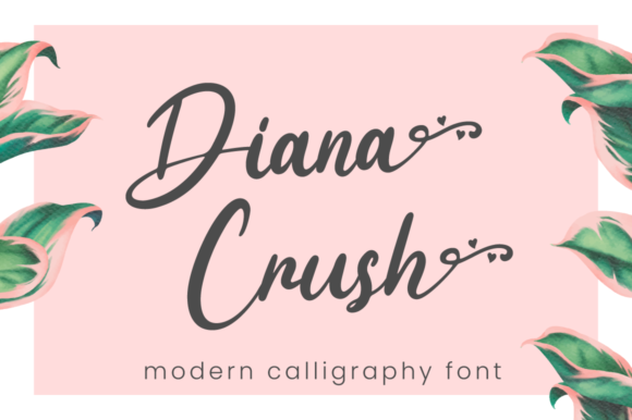 Designing with Diana Crush for a Product Launch