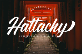 Hattachy Modern Handlettering for Campaign Creatives