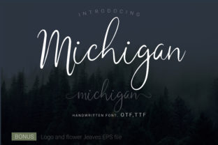 Michigan Font for Campaign Creativity
