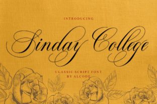 Sinday College Font Review for Editorial Design